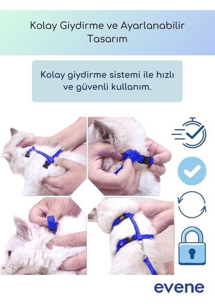 Kedi Tasması Boyun Göğüs Ayarlanabilir Sevk Kayışlı Gezdirme Seti