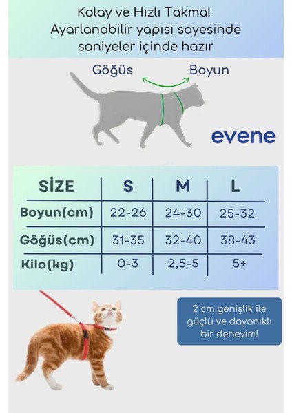 Kedi Tasması Boyun Göğüs Ayarlanabilir Sevk Kayışlı Gezdirme Seti