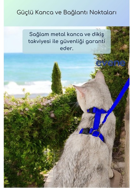 Kedi Tasması Boyun Göğüs Ayarlanabilir Sevk Kayışlı Gezdirme Seti