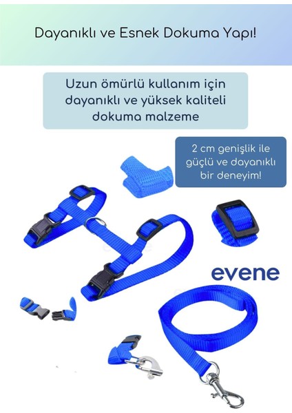 Kedi Tasması Boyun Göğüs Ayarlanabilir Sevk Kayışlı Gezdirme Seti