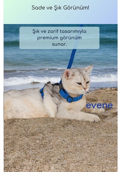 Kedi Tasması Boyun Göğüs Ayarlanabilir Sevk Kayışlı Gezdirme Seti