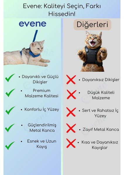 Kedi Tasması Boyun Göğüs Ayarlanabilir Sevk Kayışlı Gezdirme Seti