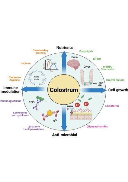 Colostrum With 20% Igg Immunog.Lobulins