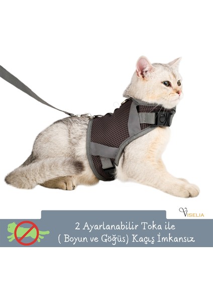 Kedi Tasması Göğüs Boyun Tasma Seti Sevk Kayışlı Terletmeyen Nefes Alan Reflektörlü Tasma Gri S fırsatları
