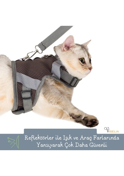 Kedi Tasması Göğüs Boyun Tasma Seti Sevk Kayışlı Terletmeyen Nefes Alan Reflektörlü Tasma Gri S indirimleri