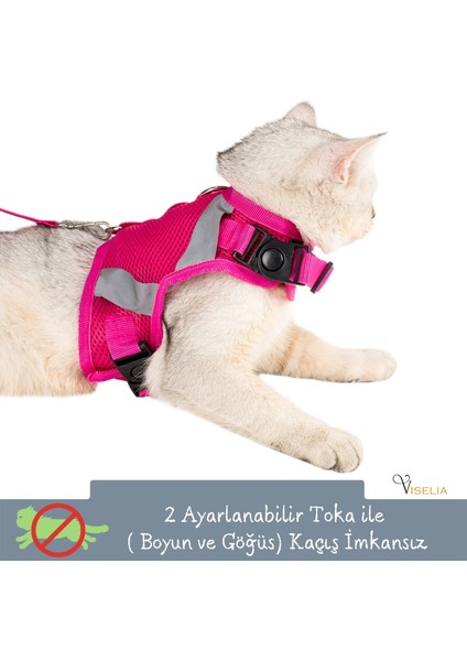 Kedi Tasması Göğüs Boyun Tasma Seti Sevk Kayışlı Terletmeyen Nefes Alan Reflektörlü Tasma Pembe L fırsatları