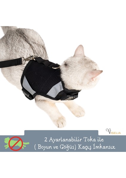 Kedi Tasması Göğüs Boyun Tasma Seti Sevk Kayışlı Terletmeyen Nefes Alan Reflektörlü Tasma Siyah M fırsatları