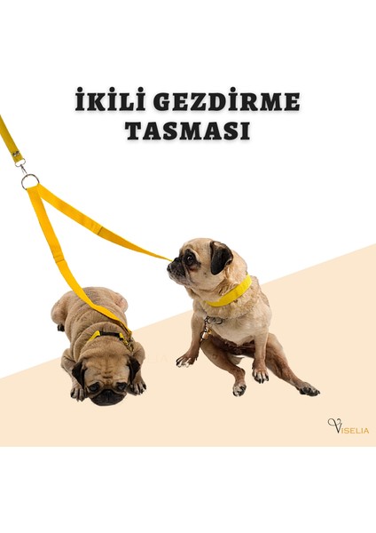 Köpek Tasması Çoklayıcı Çiftli Gezdirme Kayışı Premium Kalite Kopma Yapmaz Hafif Kolon Kumaş modelleri
