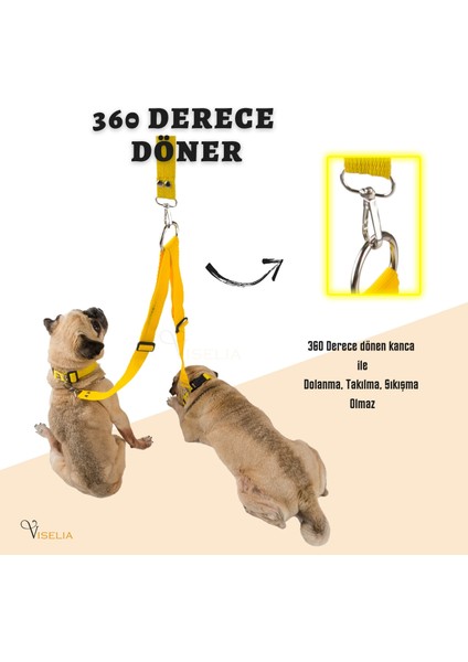 Köpek Tasması Çoklayıcı Çiftli Gezdirme Kayışı Premium Kalite Kopma Yapmaz Hafif Kolon Kumaş indirimleri