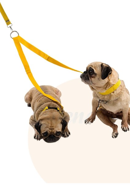 Köpek Tasması Çoklayıcı Çiftli Gezdirme Kayışı Premium Kalite Kopma Yapmaz Hafif Kolon Kumaş