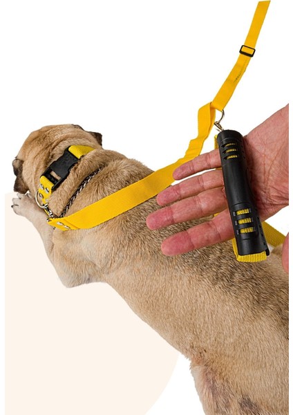 Köpek Tasması Çoklayıcı Çiftli Gezdirme Kayışı Premium Kalite Kopma Yapmaz Hafif Kolon Kumaş