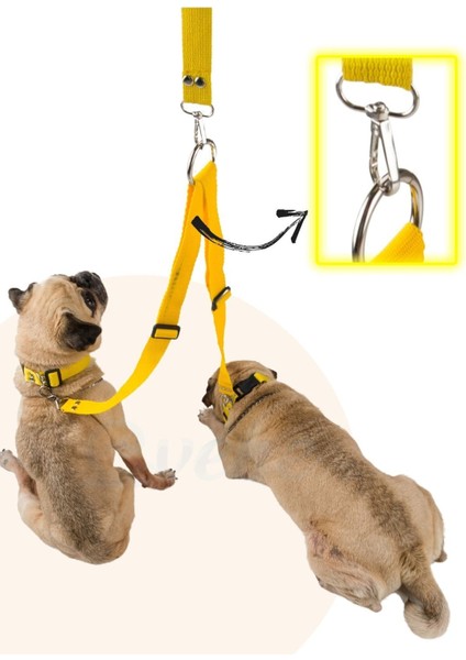 Köpek Tasması Çoklayıcı Çiftli Gezdirme Kayışı Premium Kalite Kopma Yapmaz Hafif Kolon Kumaş