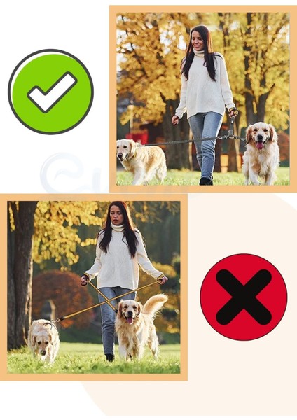 Köpek Tasması Çoklayıcı Çiftli Gezdirme Kayışı Premium Kalite Kopma Yapmaz Hafif Kolon Kumaş