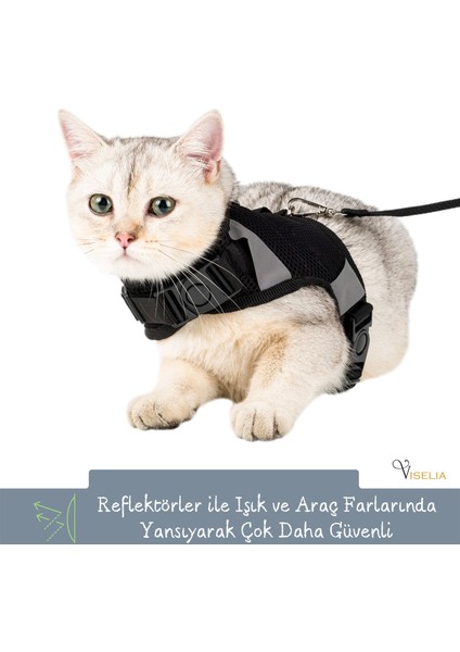 Kedi Tasması Göğüs Boyun Tasma Seti Sevk Kayışlı Terletmeyen Nefes Alan Reflektörlü Tasma Siyah S indirimleri