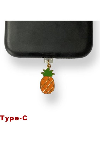 Type-C Çelik Takı Figürlü Telefon Şarj Portu Toz Tıpası Toz Tıkacı Charm IPGL9106