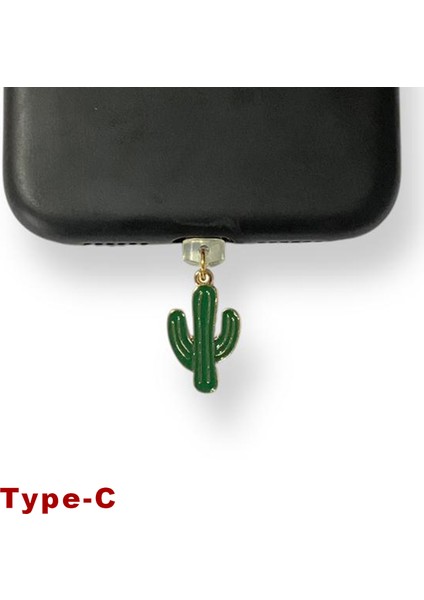 Type-C Çelik Takı Figürlü Telefon Şarj Portu Toz Tıpası Toz Tıkacı Charm IPGL9110