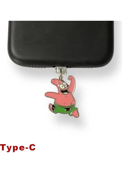 Type-C Çelik Takı Figürlü Telefon Şarj Portu Toz Tıpası Toz Tıkacı Charm IPGL9129