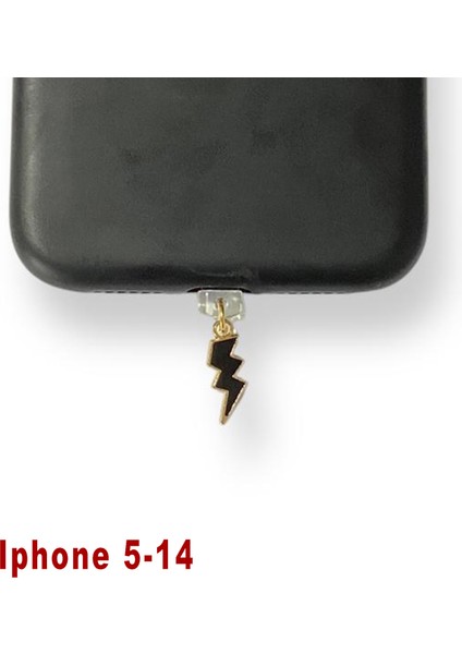 Iphone 5-14 Çelik Takı Figürlü Telefon Şarj Portu Toz Tıpası Toz Tıkacı Charm IPGL9017
