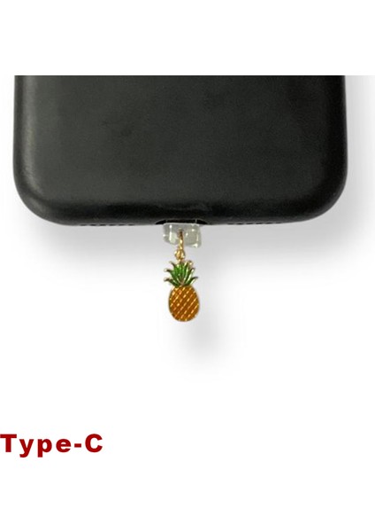 Type-C Çelik Takı Figürlü Telefon Şarj Portu Toz Tıpası Toz Tıkacı Charm IPGL9105
