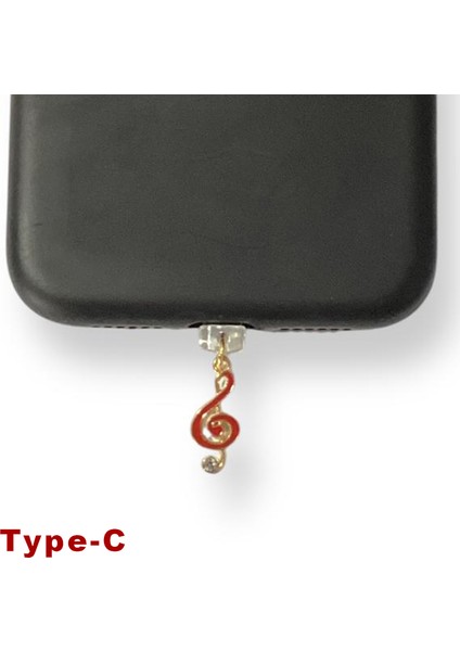 Type-C Çelik Takı Figürlü Telefon Şarj Portu Toz Tıpası Toz Tıkacı Charm IPGL9113