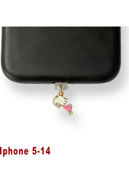Iphone 5-14 Çelik Takı Figürlü Telefon Şarj Portu Toz Tıpası Toz Tıkacı Charm IPGL9001
