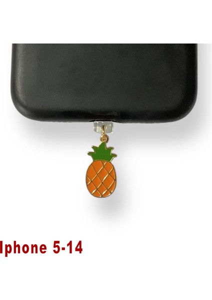 Iphone 5-14 Çelik Takı Figürlü Telefon Şarj Portu Toz Tıpası Toz Tıkacı Charm IPGL9006