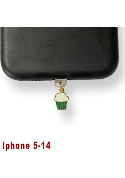Iphone 5-14 Çelik Takı Figürlü Telefon Şarj Portu Toz Tıpası Toz Tıkacı Charm IPGL9011