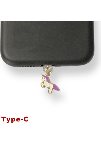 Type-C Çelik Takı Figürlü Telefon Şarj Portu Toz Tıpası Toz Tıkacı Charm IPGL9121