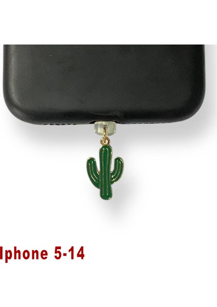 Iphone 5-14 Çelik Takı Figürlü Telefon Şarj Portu Toz Tıpası Toz Tıkacı Charm IPGL9010