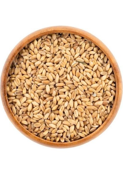 Yemlik Buğday 15KG Yem (Güvercin, Tavuk, Ördek Vb.)