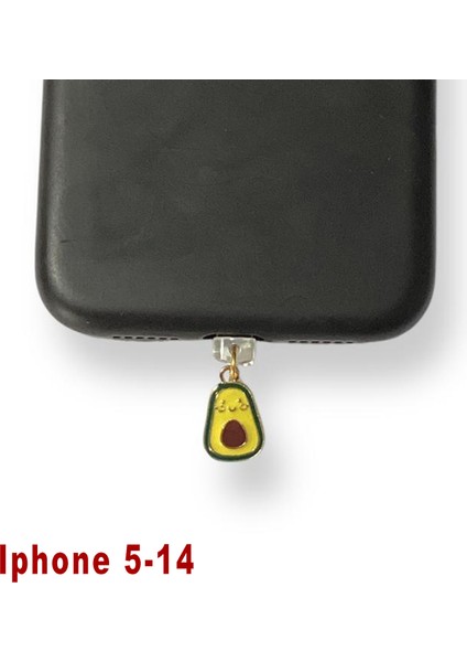 Iphone 5-14 Çelik Takı Figürlü Telefon Şarj Portu Toz Tıpası Toz Tıkacı Charm IPGL9025