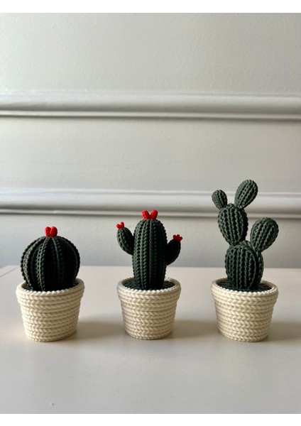 Dekoratif 3’lü Kaktüs Seti, Örgü Desenli Biblo, Kırmızı Uçlu, 10 cm