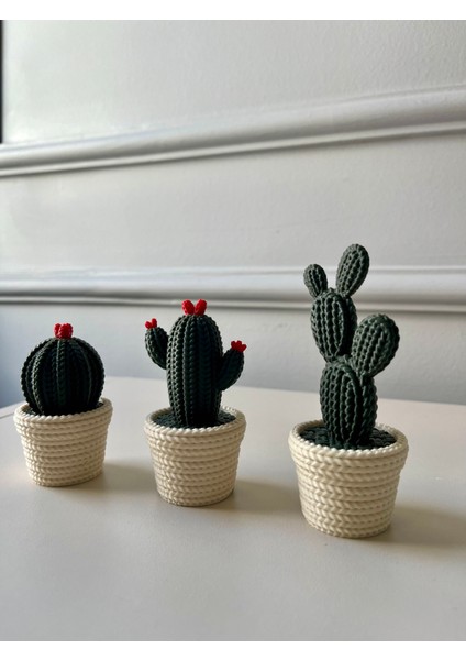 Dekoratif 3’lü Kaktüs Seti, Örgü Desenli Biblo, Kırmızı Uçlu, 10 cm fiyatları