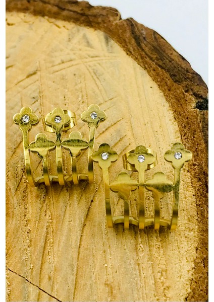 Figürlü Çelik Küpe modelleri