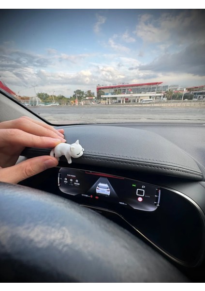 Sevimli Uyuyan Kedi Araba Dikiz Aynası Süsü - Araç Içi Aksesuar Süsü - Mutfak Süsü fiyatları