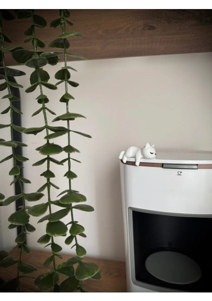 Sevimli Uyuyan Kedi Araba Dikiz Aynası Süsü - Araç Içi Aksesuar Süsü - Mutfak Süsü