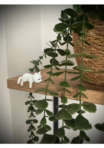 Sevimli Uyuyan Kedi Araba Dikiz Aynası Süsü - Araç Içi Aksesuar Süsü - Mutfak Süsü