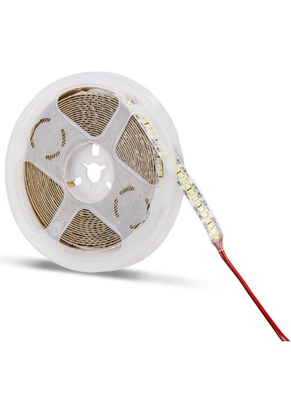 5 Metre Noas YL35 2402 Iç Mekan 12V 240 Çip Şerit LED Gün Işığı 3200K