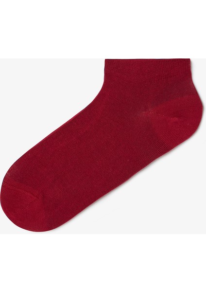 Erkek Flag Çizgili 3'lü Sneaker Çorap fiyatları