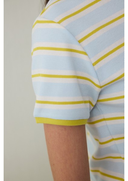 Açık Mavi Bozkır Lalesi Bisiklet Yaka Pamuklu Çizgili Crop Tişört - Inspired by Flora