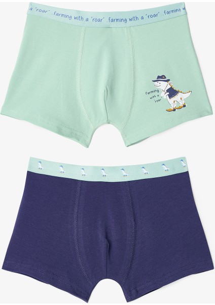 Erkek Çocuk Dino Farm Pamuklu 2'li Boxer