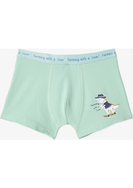 Erkek Çocuk Dino Farm Pamuklu 2'li Boxer modelleri