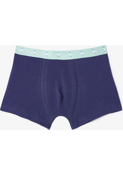 Erkek Çocuk Dino Farm Pamuklu 2'li Boxer fırsatları