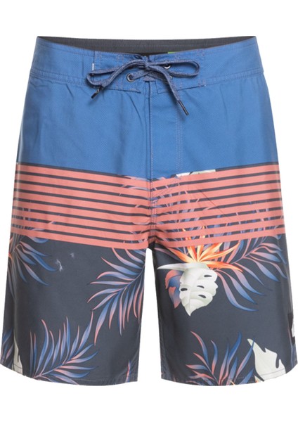 EVERYDAY DIVISION 17