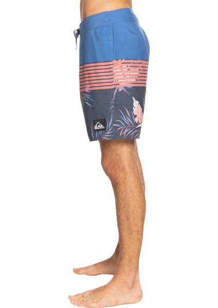 EVERYDAY DIVISION 17