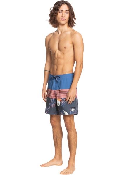 EVERYDAY DIVISION 17