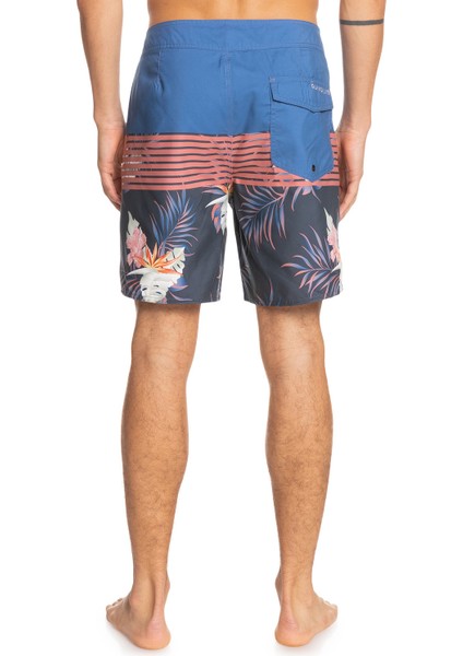 EVERYDAY DIVISION 17