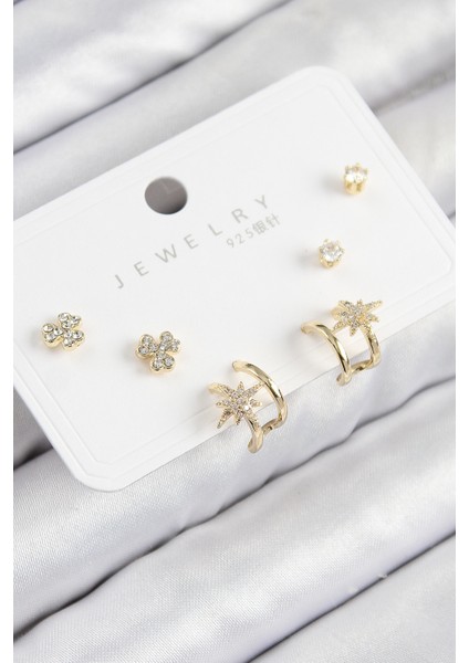 Erb Pirinç Zirkon Taşlı Kutup Yıldızı Model Gold Renk 925 Ayar Gümüş Çivi Kadın Küpe Set