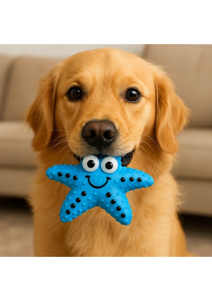 Kedi Köpek Oyuncağı Sesli Deniz Yıldızı Yumuşak Esnek Oyuncak
