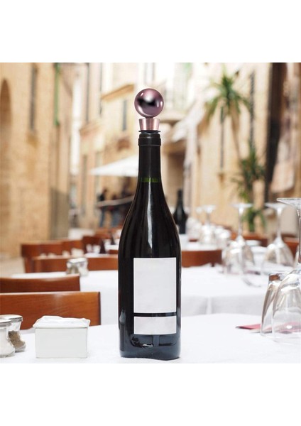 10 Pcs Metal Şişe Açıcı ve Şarap Durdurucu Boş Paslanmaz Çelik Düz Şişe Açıcı Kiti Bira Açıcı Donanımı (Yurt Dışından)